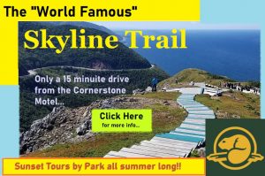 Skyline Trail Activities